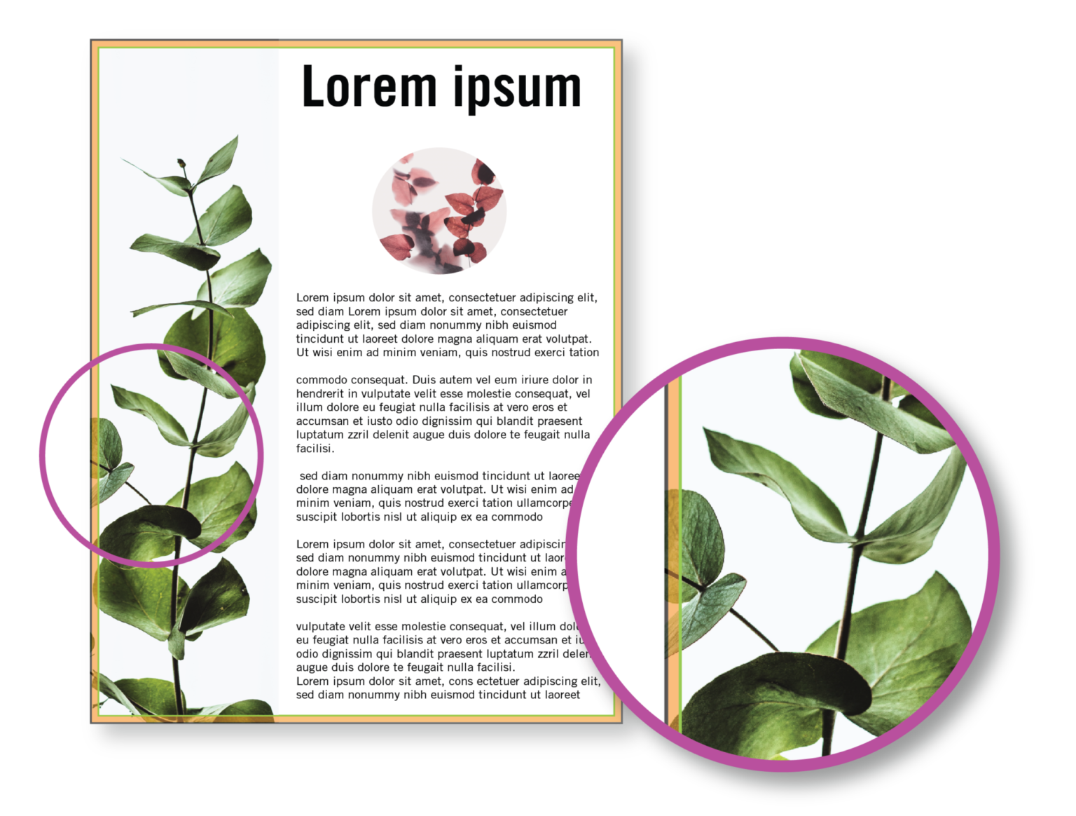 The Ultimate Guide for Adding Bleeds to your Print Project Poor