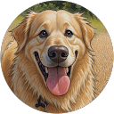 Ana D'Arace profile picture